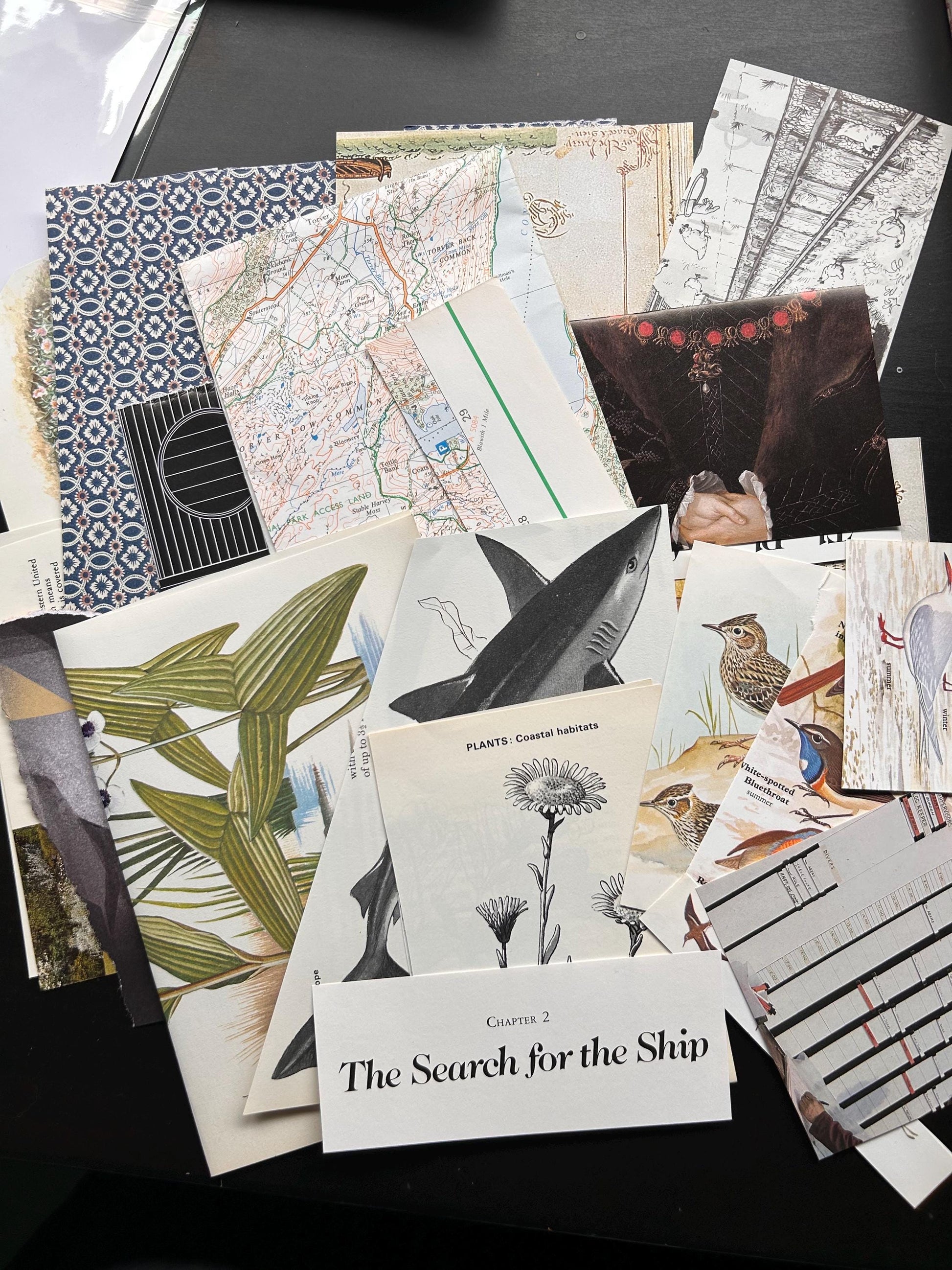 Ephemera pack - for scrapbook art collage