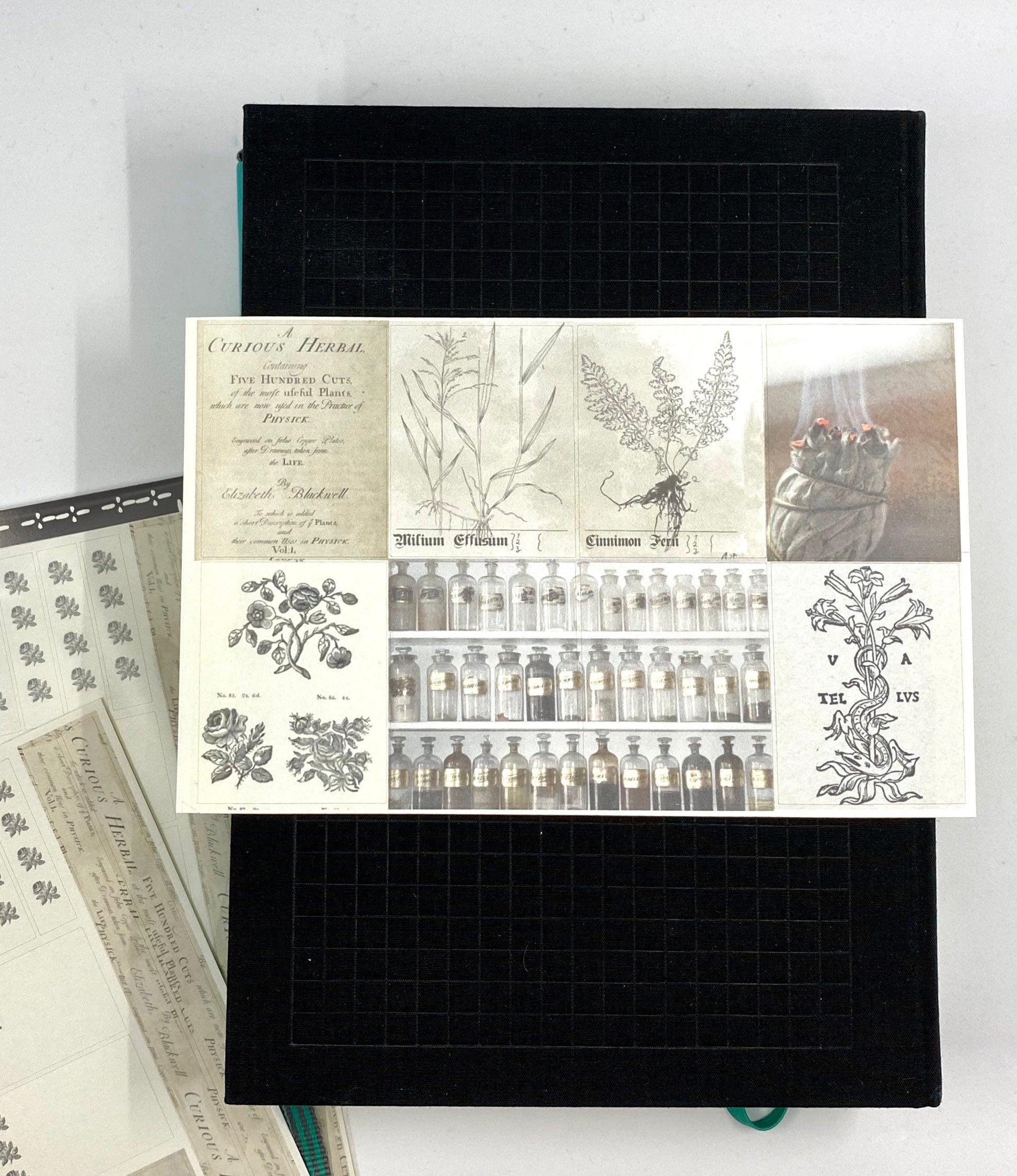 Herbal Planner sticker sheet for bullet journal kit and planner- witchcraft Wiccan celestial herbal spells apothecary
