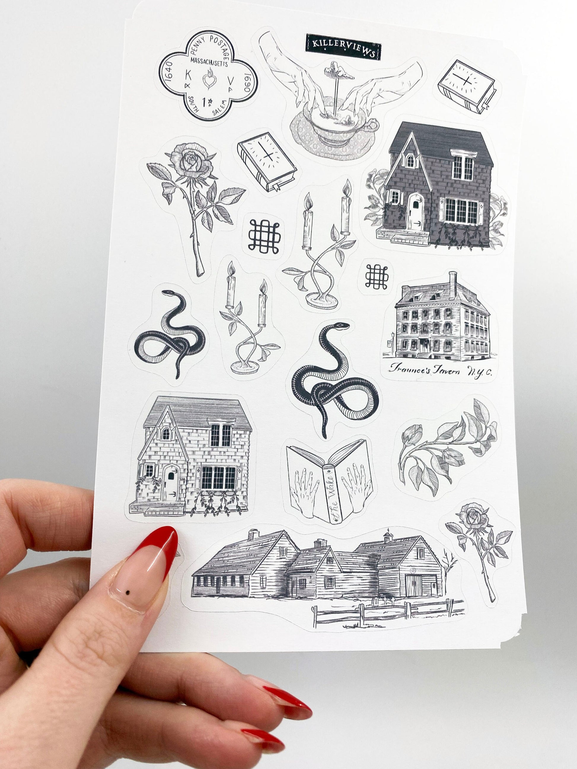 Salem Witch Massachusetts inspired sticker sheet for bullet journal kit and planner-   snakes bones