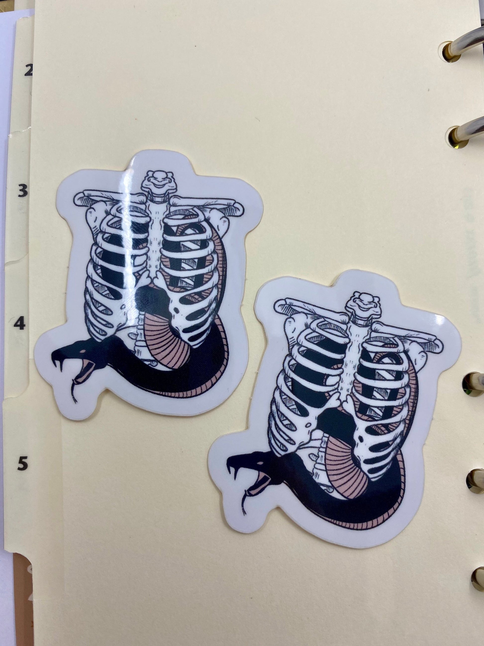 Snake in a Ribcage vinyl sticker pack of 2. With transparent effect vinyl.