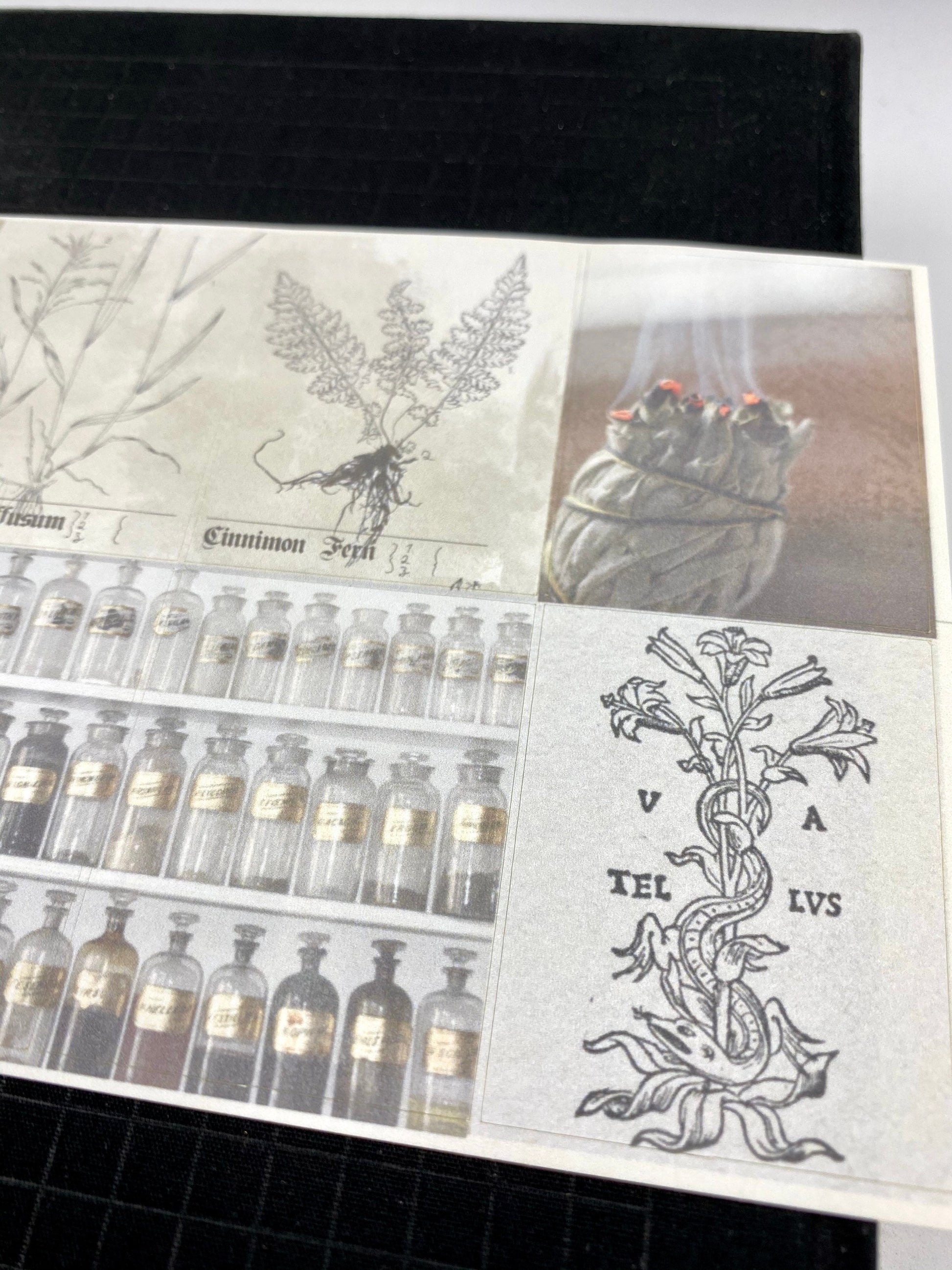 Herbal Planner sticker sheet for bullet journal kit and planner- witchcraft Wiccan celestial herbal spells apothecary