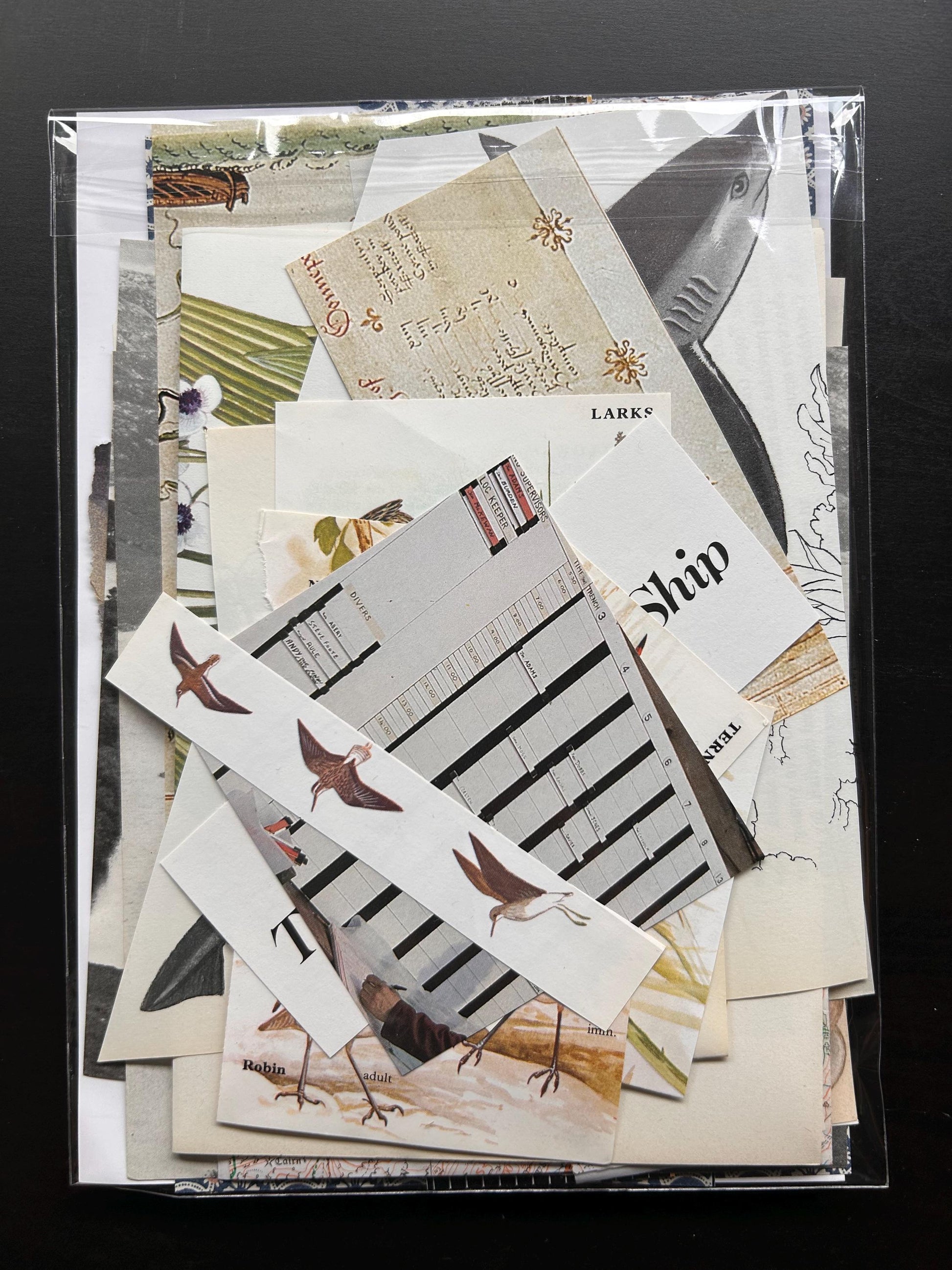 Ephemera pack - for scrapbook art collage