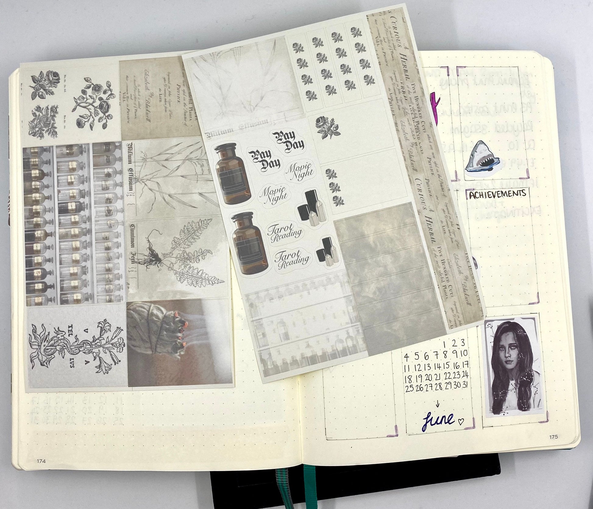 Herbal Planner sticker sheet for bullet journal kit and planner- witchcraft Wiccan celestial herbal spells apothecary