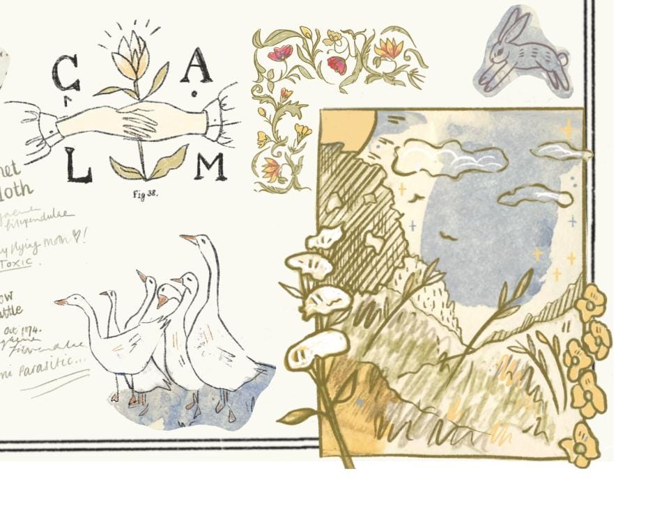 Downloadable Coastal Witch Field Notes planner sheet inspired sticker sheet for journal kit and planner- NOT PHYSICAL PRODUCT